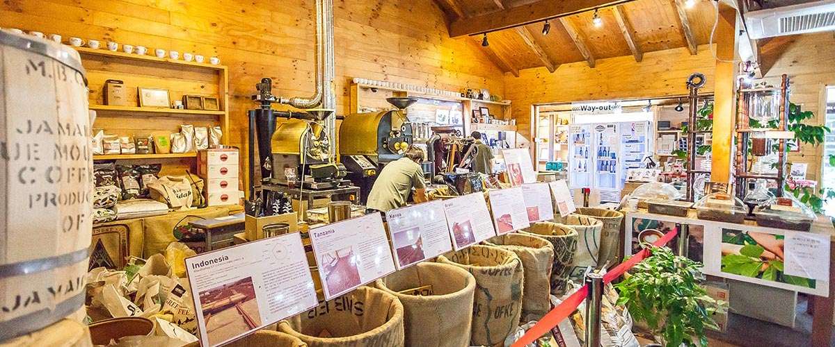 Coffee Cupper Museum, Wangsan Branch