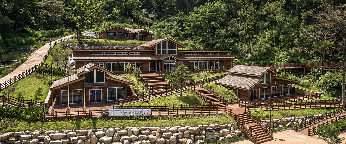Daegwallyeong National Healing Forest